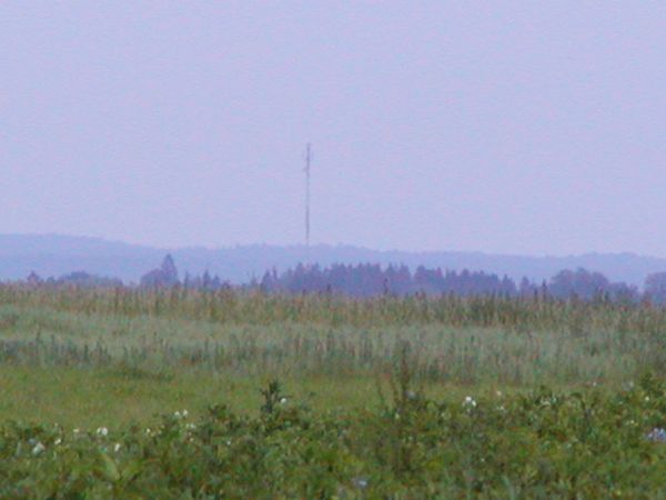 P7010021.JPG