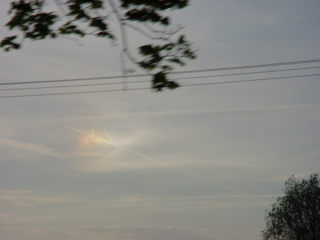 DSC01257