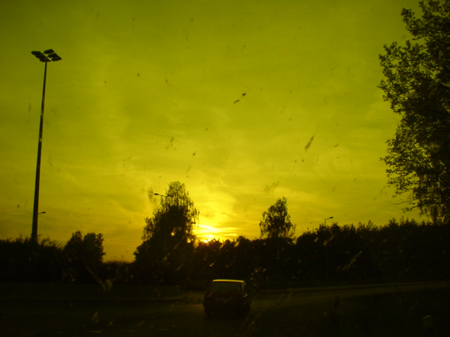 DSC01260