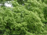 DSC01264