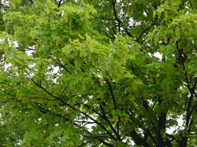 DSC01265
