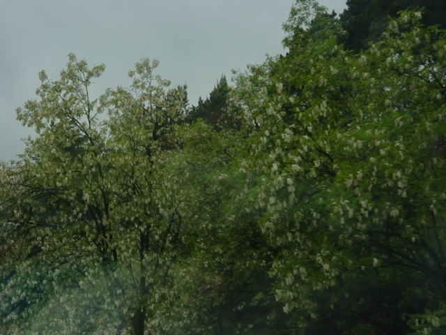 DSC01267