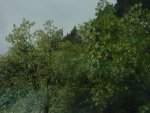 DSC01267