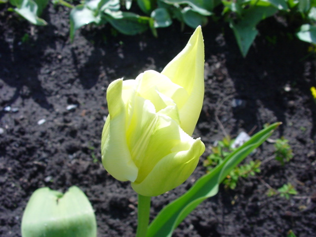 DSC01254