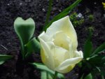 DSC01255