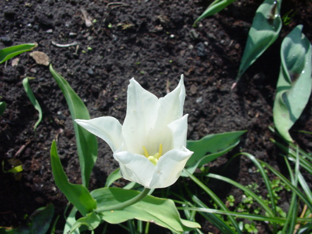 DSC01256