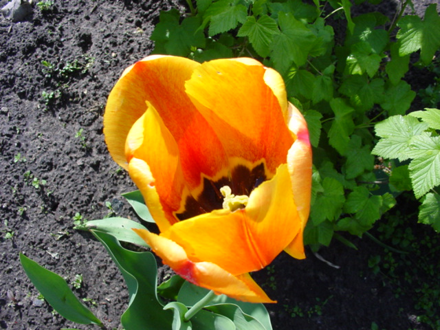DSC01260