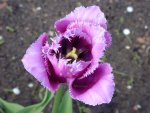 DSC01269