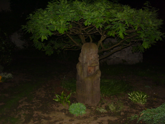 DSC01379