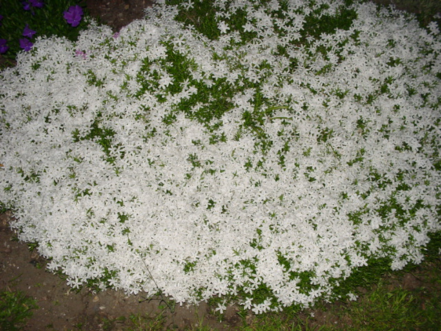 DSC01382