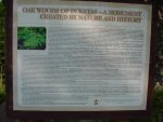 DSC01395