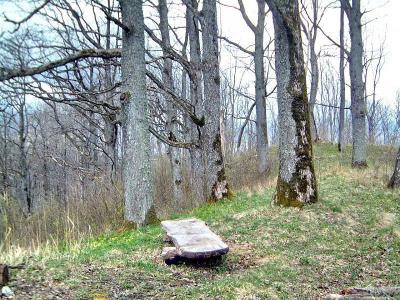 TE-51 Viršūne (centras)
