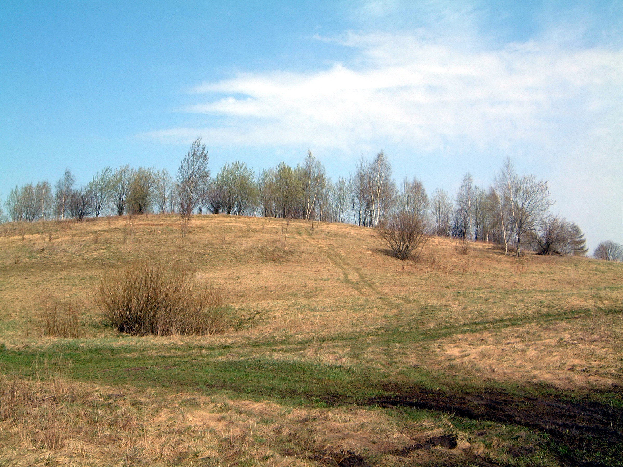 TE-53 (pietinė pusė)