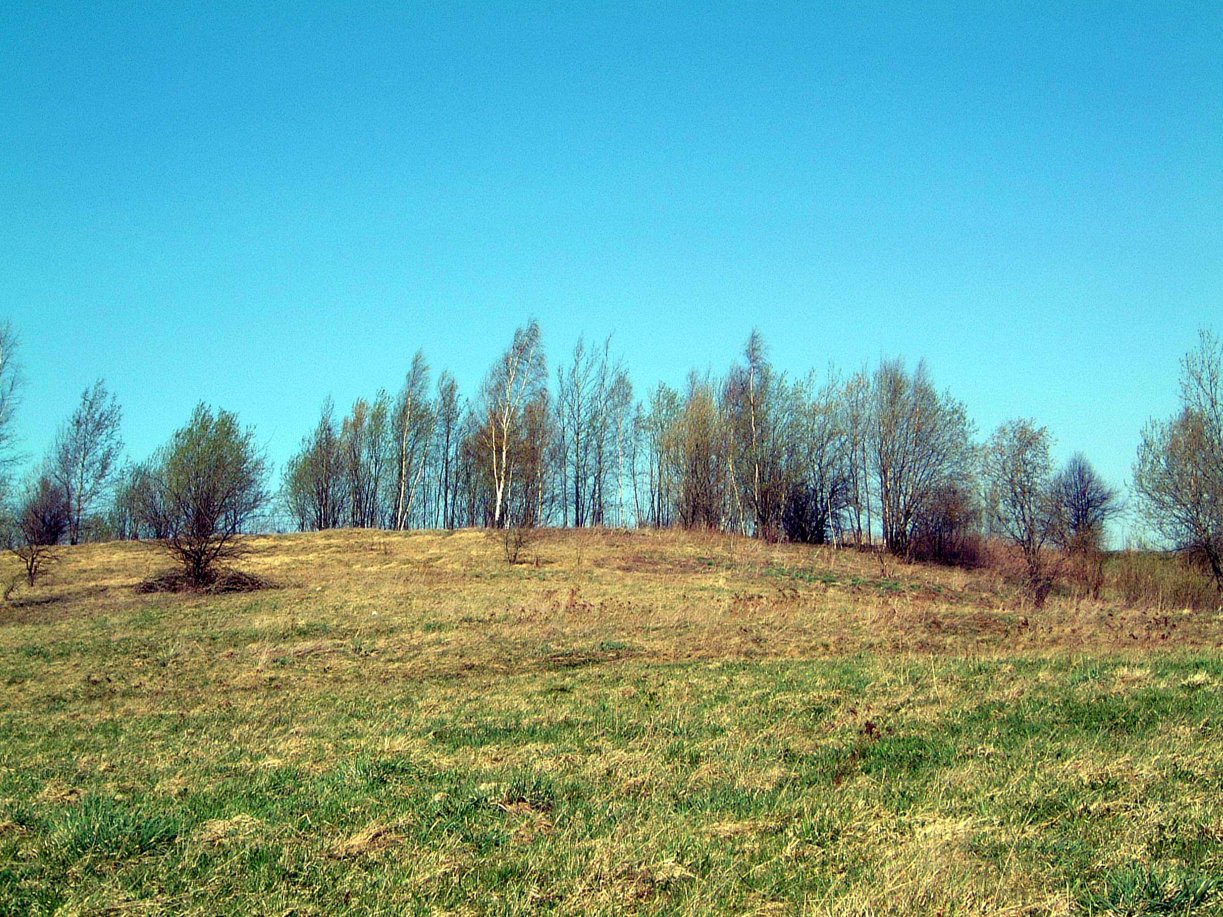 TE-53 (vakarinė pusė)