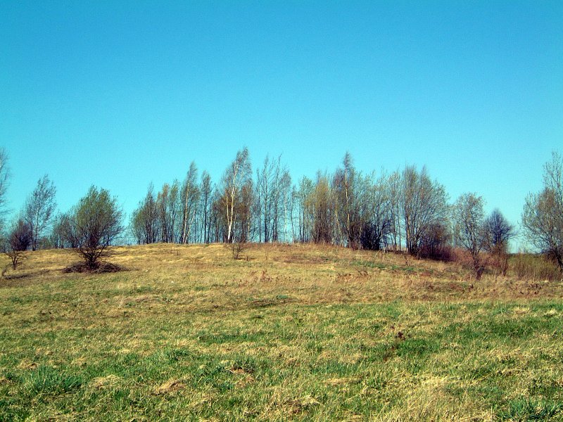 TE-53 (vakarinė pusė)