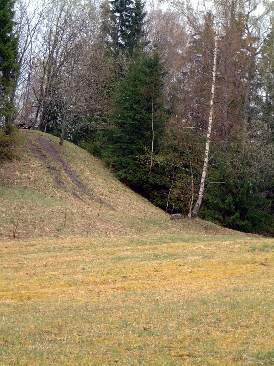 TE-48 iš tolo