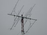 Antena