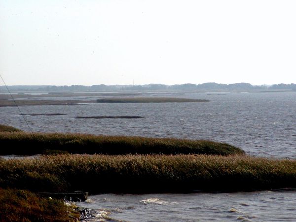 P9270052.JPG