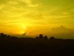 DSC00413