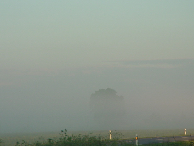 DSC00400
