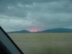 DSC00520