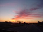 DSC00529