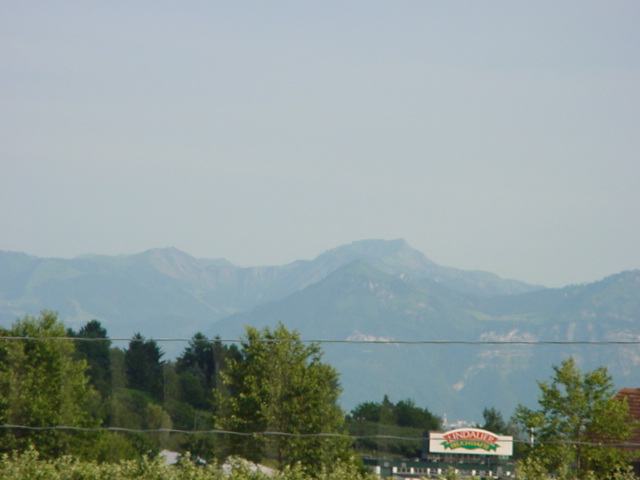 DSC00461