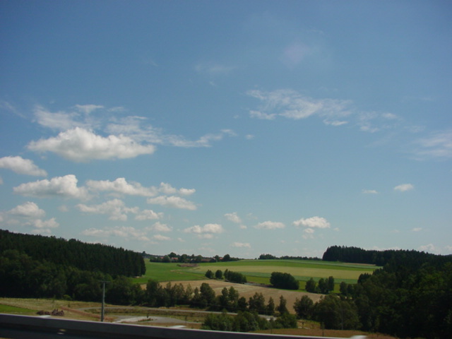 DSC00478