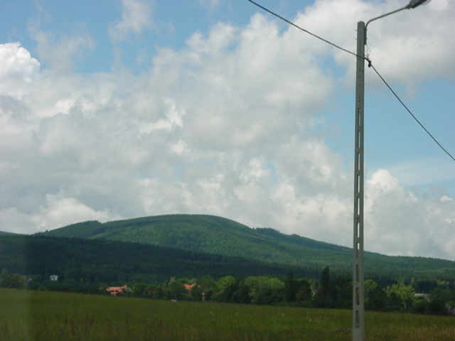 DSC00490