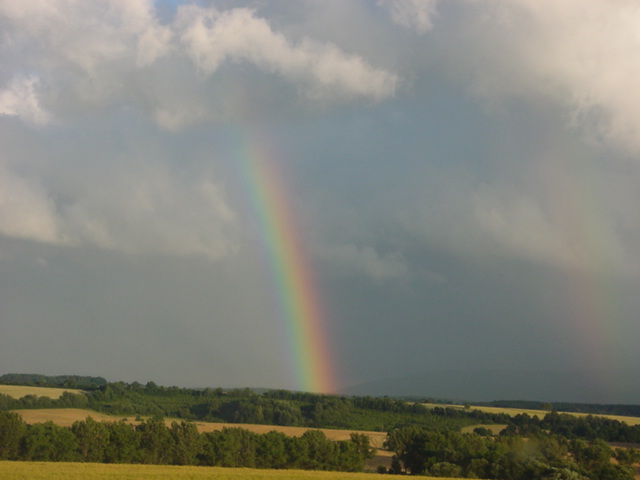 DSC00508