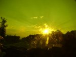 DSC00424