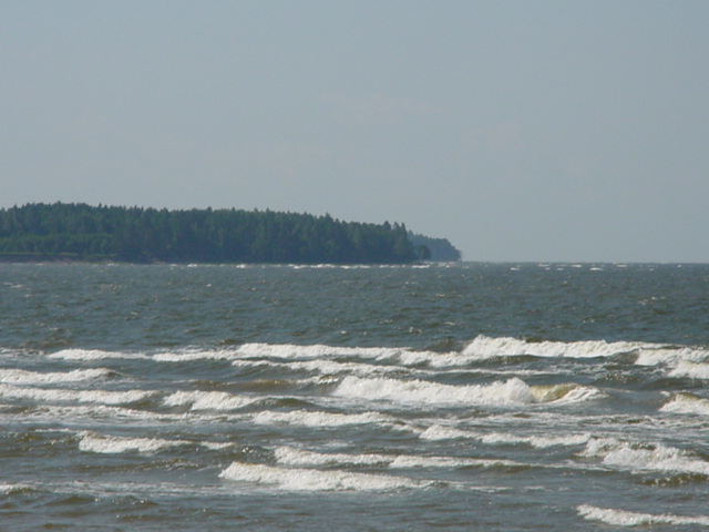 DSC00429