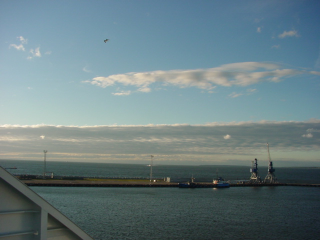 DSC00446