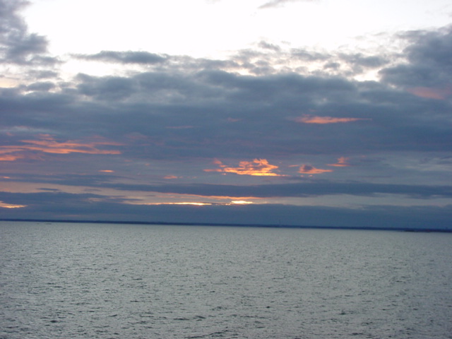 DSC00470