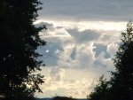 DSC00492