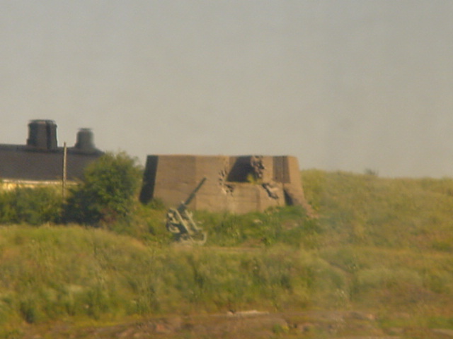 DSC00533