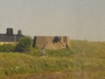 DSC00533
