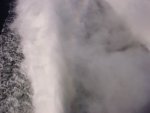 DSC00539