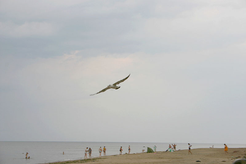 IMG_0082.JPG