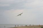 IMG_0082.JPG