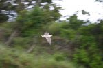 IMG_0083.JPG