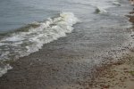 IMG_0106.JPG