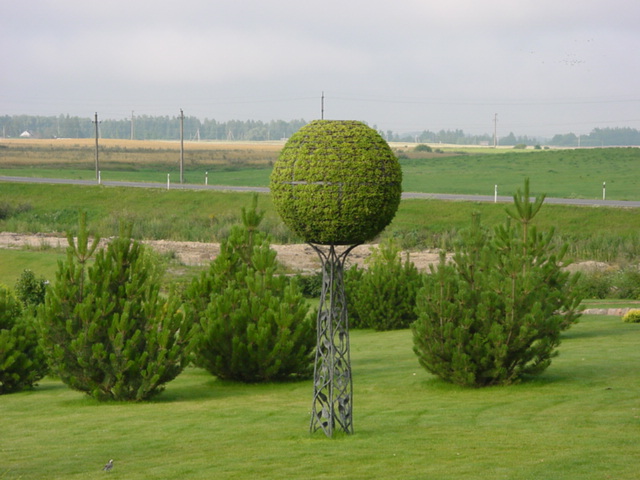DSC00486