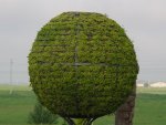 DSC00491