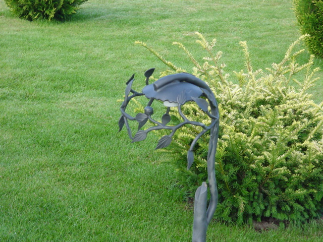 DSC00496