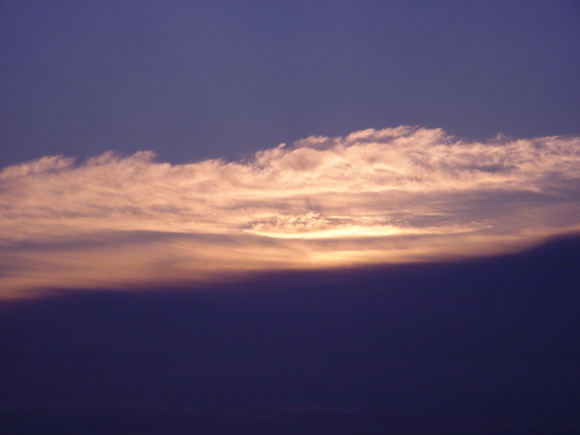 DSC00482