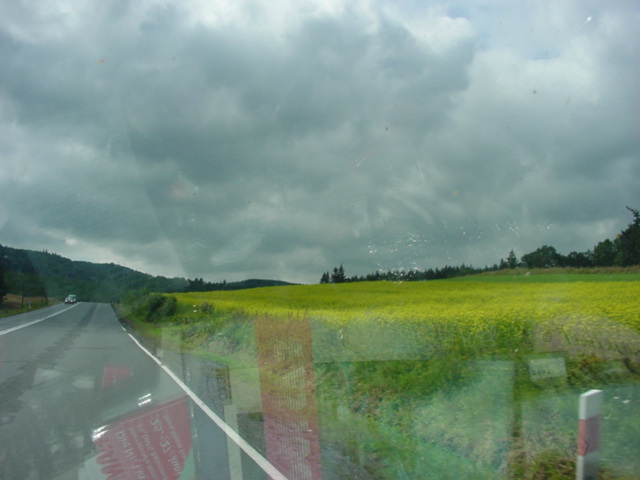 DSC00501