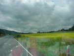 DSC00501