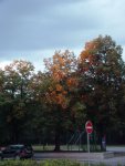 DSC00518