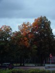 DSC00519